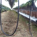 봉동농장 이미지