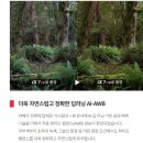소니 A7R6 (ILCE-7RM6) 솔직 후기-화질의 한계를 깨부수는 초고화소 미러리스의 끝판왕