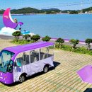 반월도퍼플펜션 이미지