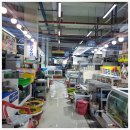 북항선착장 | 목포횟집 선희네 횟집에서 겨울 방어 제대로 즐긴 후기, 북항선착장 근처 활어회플리자 찐맛집 추천