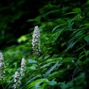 알봉 둘레길 이미지