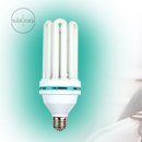 솔라그라티아 이미지