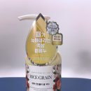 본가신토불이