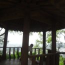 화산장어 이미지