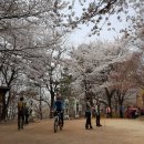 봉황세차장 이미지