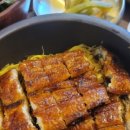 삼수장어 이미지