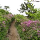 한치재주차장 이미지