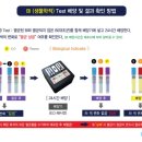 엠디솔루션
