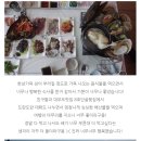 코랄(coral)