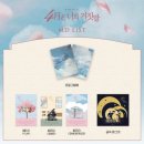 뮤지컬 4월은 너의 거짓말 - 드레스리허설을 보고