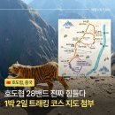 리장 여행 호도협 트래킹 지도 | 나시객잔 - 28밴드 - 차마객잔 - 중도객잔까지 첫날 코스 후기