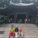 1026회차 남산 하늘숲길 북축숲길 춘수대장님 결산보고 이미지