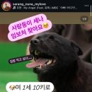 세나농장 이미지