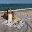 카페에세이(Cafe Essay)