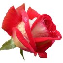 감성 수채화 캘리그라피 이미지