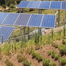 일조2호 태양광발전소 이미지