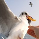 남해-남해-남해-비-7 이미지