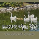 23년 4월 | 카이스트 거위구경🦢올팜 감자 수확 후기🥔