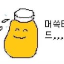 상동다짐 이미지