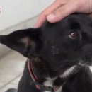 정영섭농장 이미지