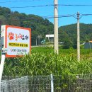 놀러오개 애견유치원 애견호텔 에버랜드점 이미지