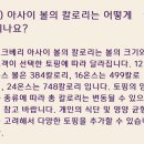 디오크(The oak) 이미지