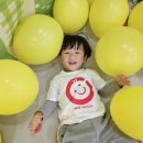 새하늘어린이집 이미지