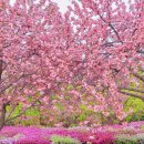 공지숲매점 이미지