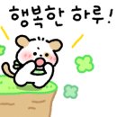 대구기름집 이미지