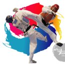 신영태비태권도 이미지