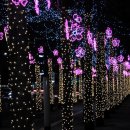 세모공원 이미지