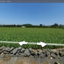 일과1교차로 2 이미지