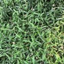 이천시 종합운동장 야구장 이미지