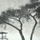 최순