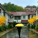 내돈경로당 네이버블로그