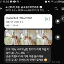 강아지미용실 | 수원 애견미용 포근하개 금곡동 호매실 강아지 미용실 추천 후기