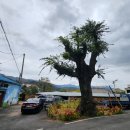 구소석길 이미지