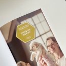 반려동물을 위한 천연아로마제품 원데이 클래스 이미지