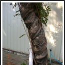 교하초등학교 이미지