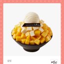 설빙 Daum카페