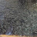 꼬다리김밥 이미지