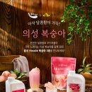 의성군청 이미지