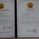 벤조인요양병원 Daum카페