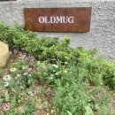 카페 올드머그 oldmug_드립커피 전문점 ! 주차 정보, 내돈내산 후기 고고~
