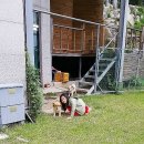 남덕유산뮤지엄펜션 | 왜 사냐건 웃지요 #남덕유산 뮤지엄펜션 후기
