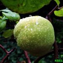 열린자리 이미지