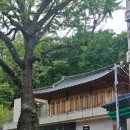 동작문화유산의 시간산책 네이버블로그