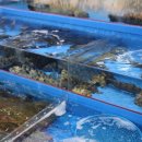 이야기가있는바다 이미지