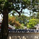 경포블루비치펜션 이미지