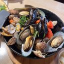 팀스쿠치나 티스토리